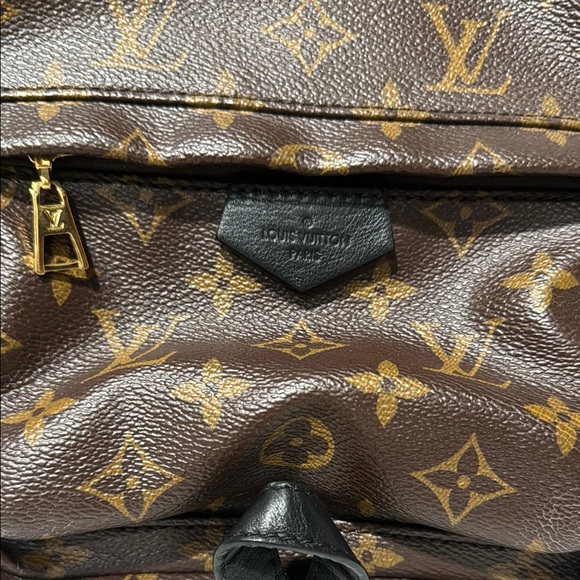 Louis Vuitton Palm Springs Monogram Brown Backpack - Damaged - Picture 8 of 15